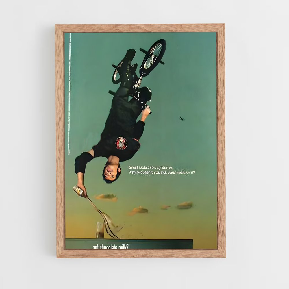 Poster Mat Hoffman's Thrills – affiche BMX (vue 4)